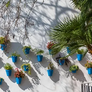  Apartamento Estudio Con Vistas Al Mar En A 100 Metros De La Playa